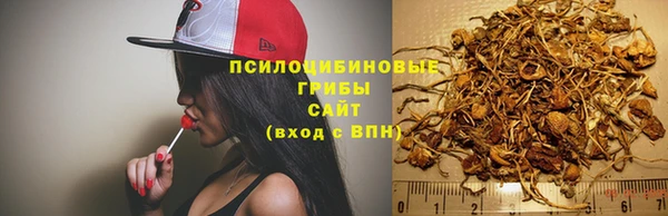 первитин Дубовка
