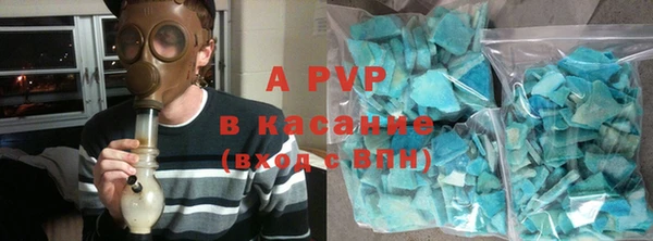 ГАЛЛЮЦИНОГЕННЫЕ ГРИБЫ Чекалин